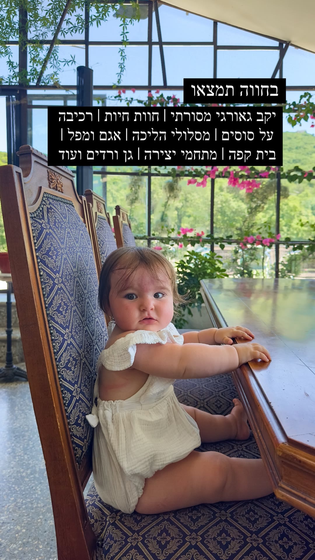 חווה עם יקב גאורגי וחוות חיות ליד טביליסי