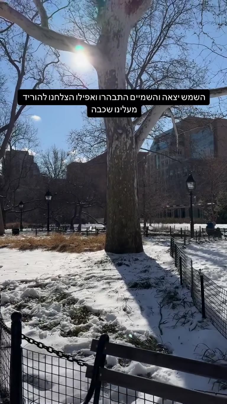 שמש אחרי השלג בפארק בניו יורק