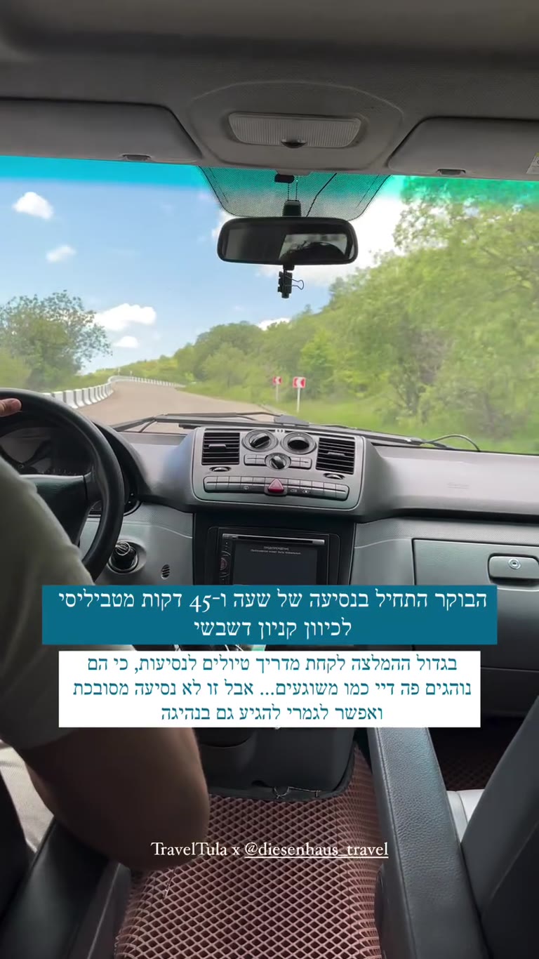 נסיעה מטביליסי לקניון דשבשי — לנהוג או מדריך?