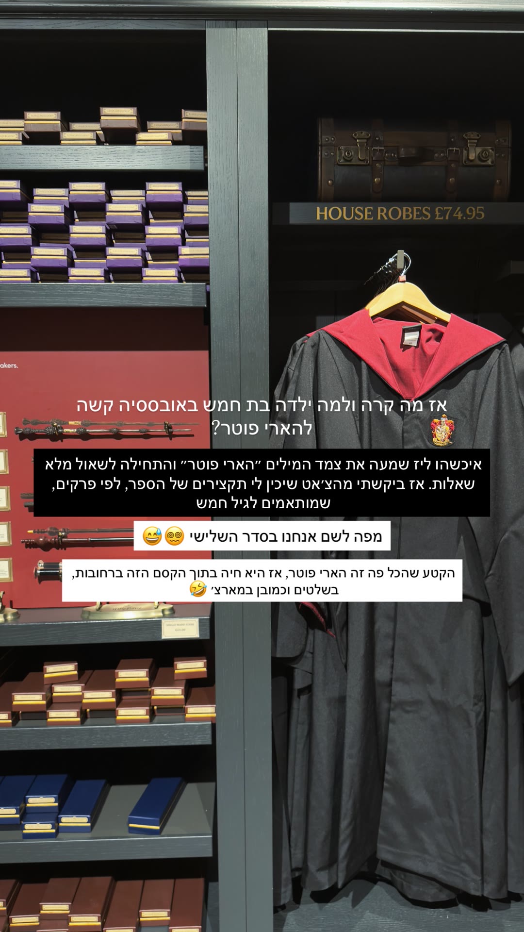 חנות הארי פוטר בלונדון – House Robes ב-£74.95
