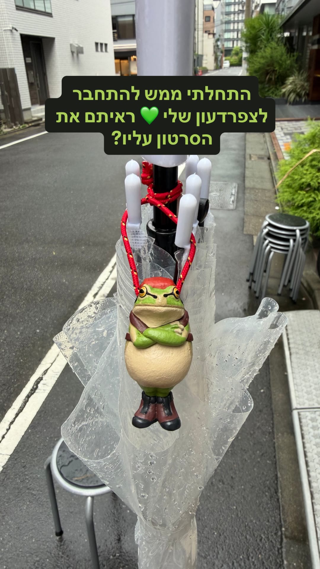 הצפרדע שלי ברחובות טוקיו 🐸