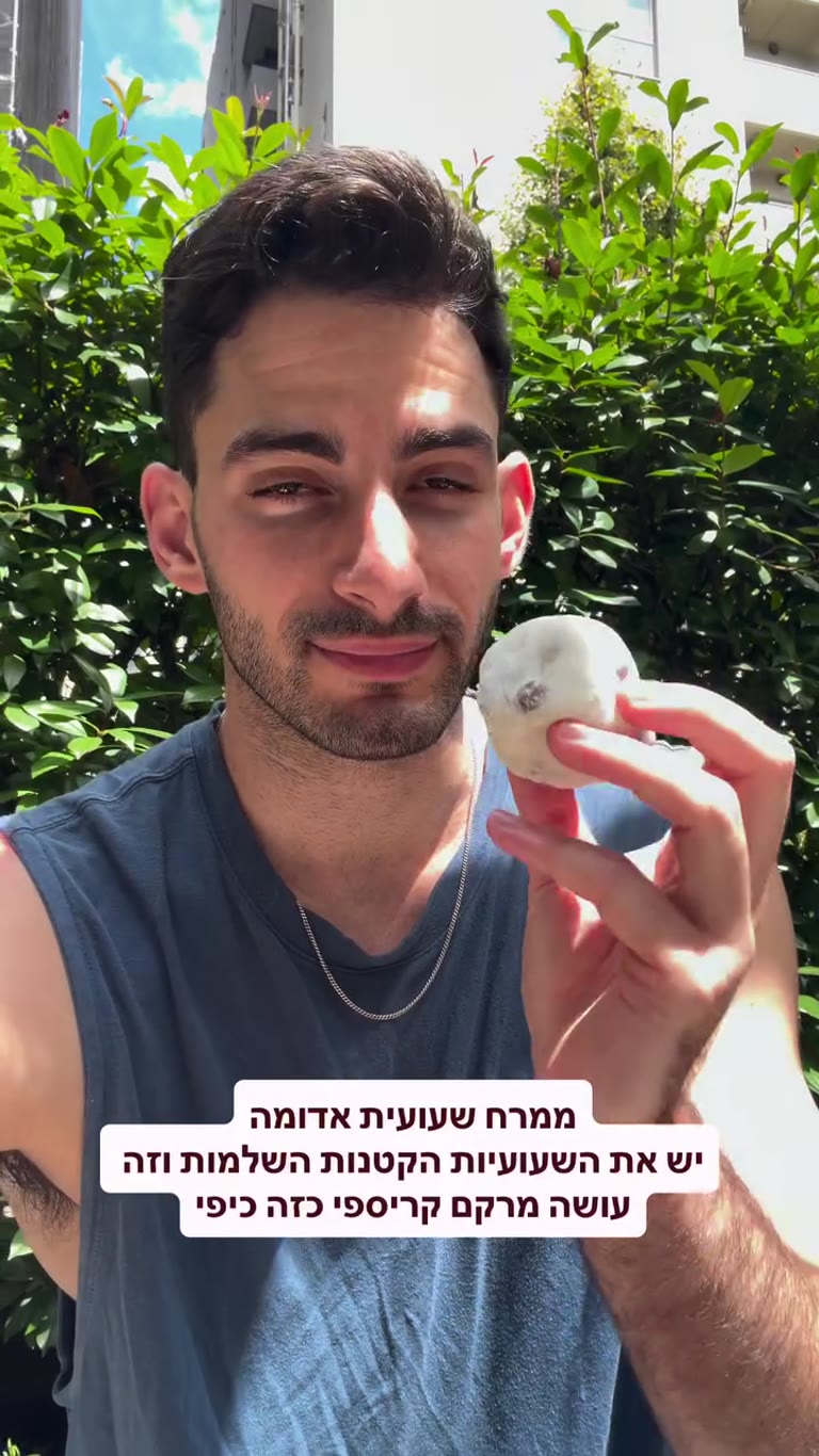 טעימה מבן אוניגירי/לחמנייה עם ממרח שעועית אדומה בטוקיו