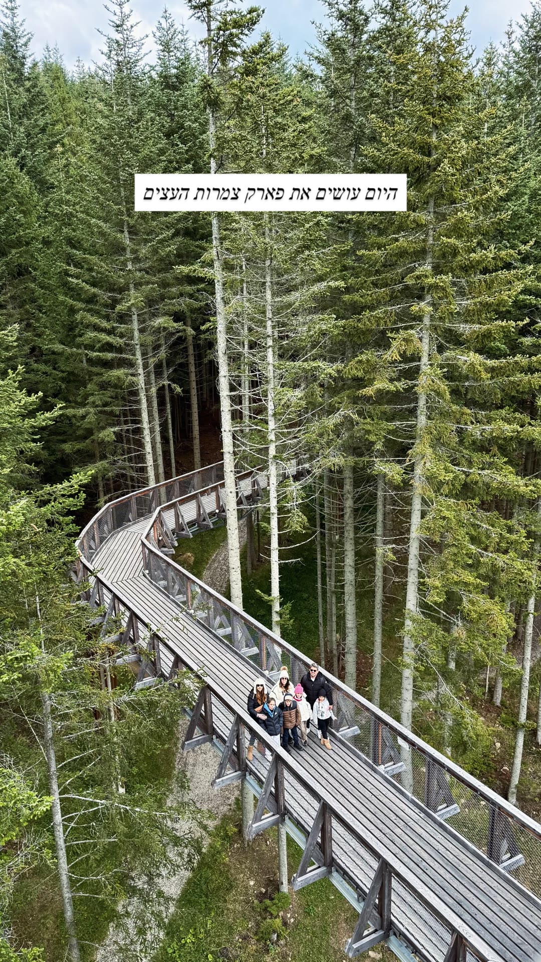 פארק צמרות העצים בפולין (Treetop Walk)