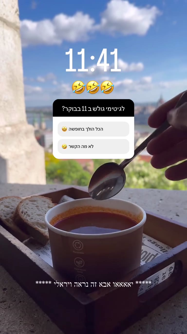 גולש בודפשטי ב-11 בבוקר עם נוף לדנובה