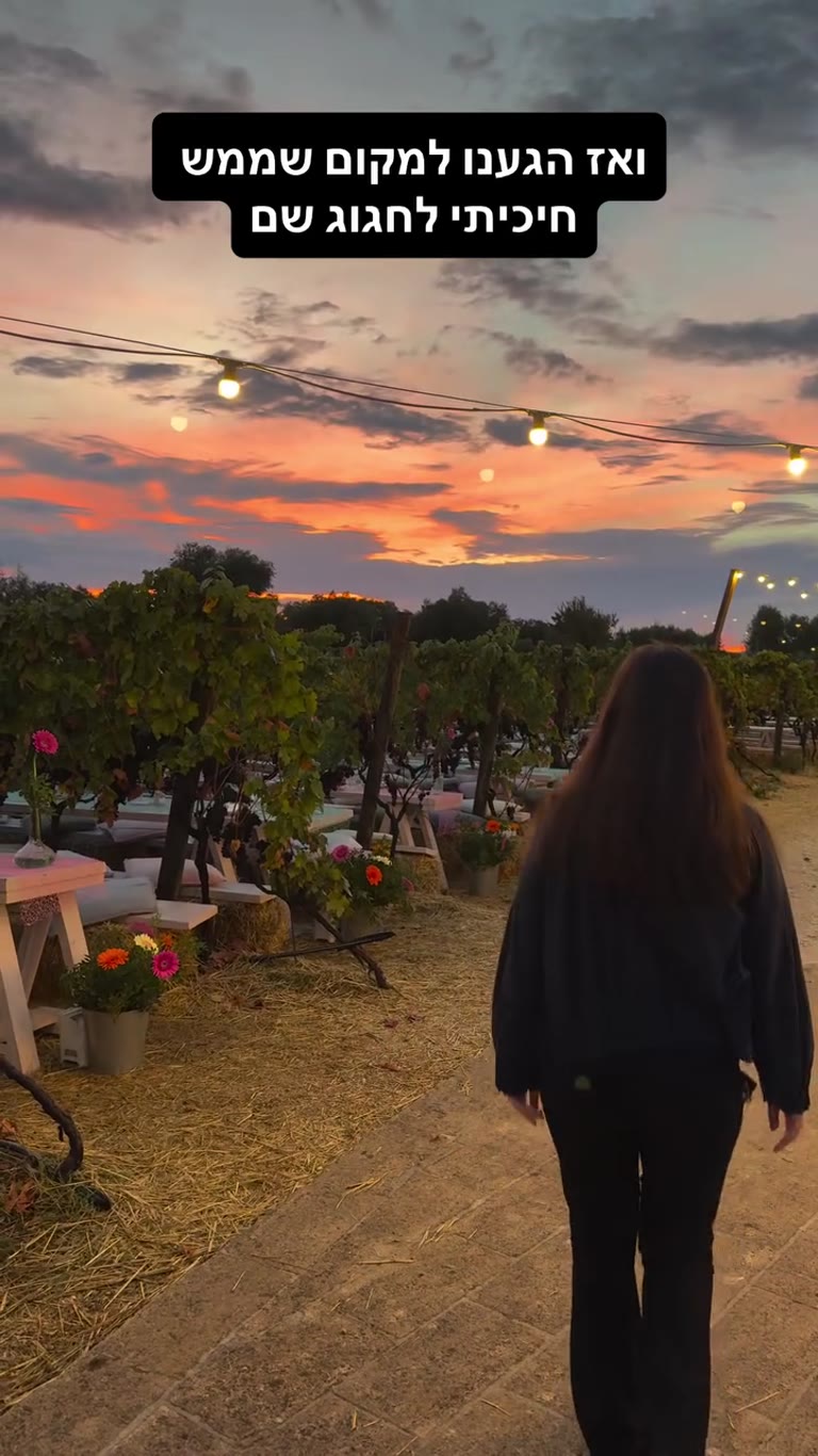 Sunset dinner in a Puglia vineyard
