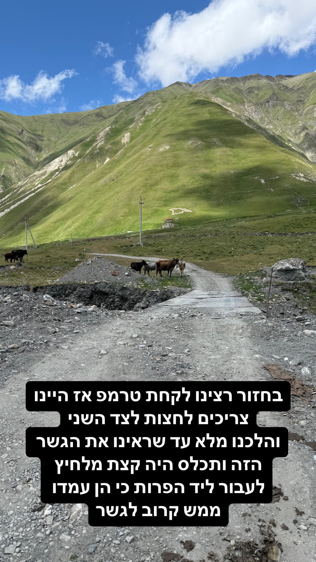 Walking across a mountain bridge past cows in Georgia