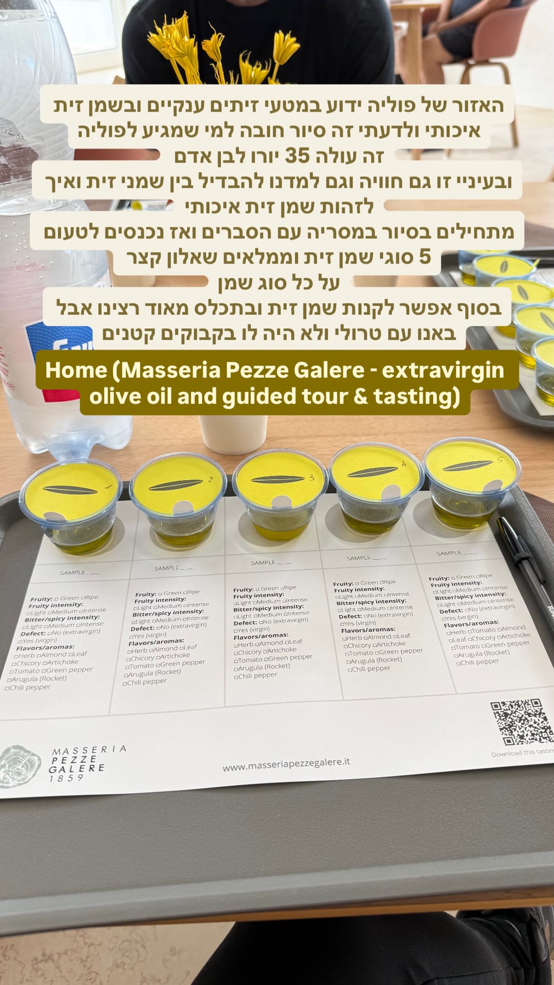 סיור וטעימות שמן זית ב-Masseria Pezze Galere