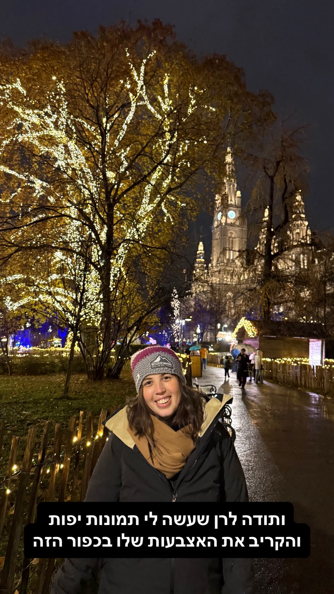 Vienna Christmas market at the Rathaus