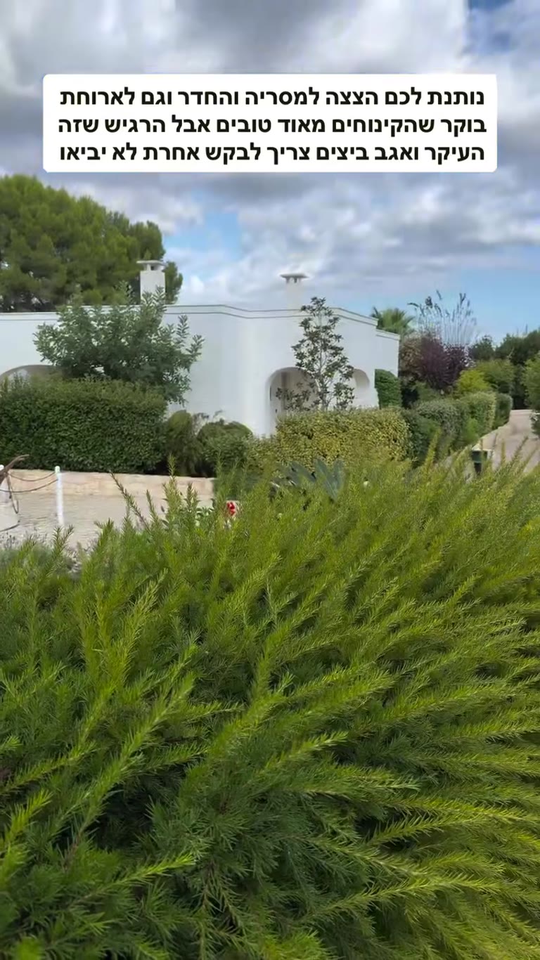 הצצה למסריה בפוליה: חדר וארוחת בוקר