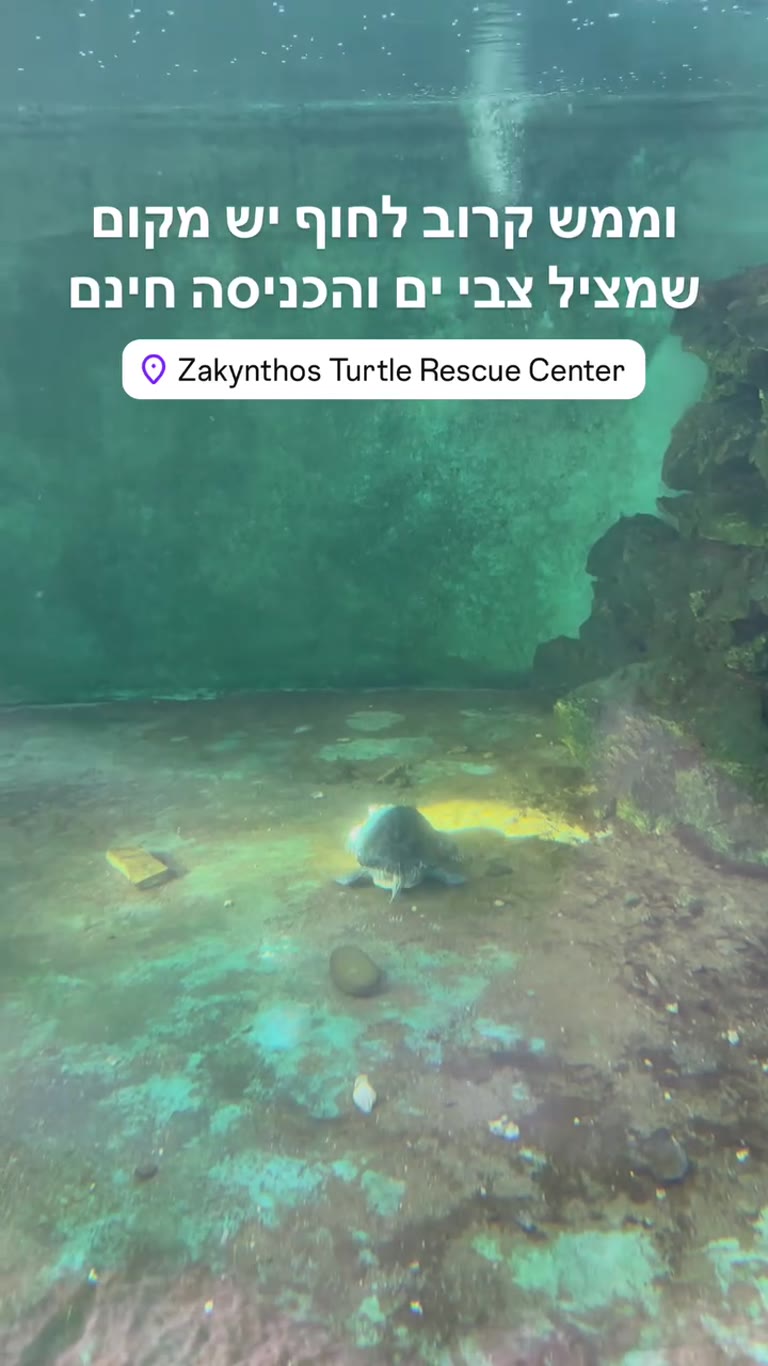 Zakynthos Turtle Rescue Center – free entry
