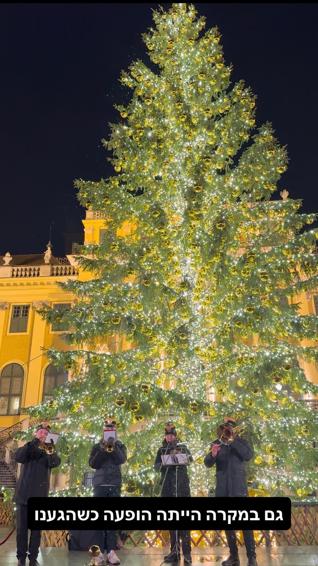 Christmas tree and brass band at Schönbrunn, Vienna