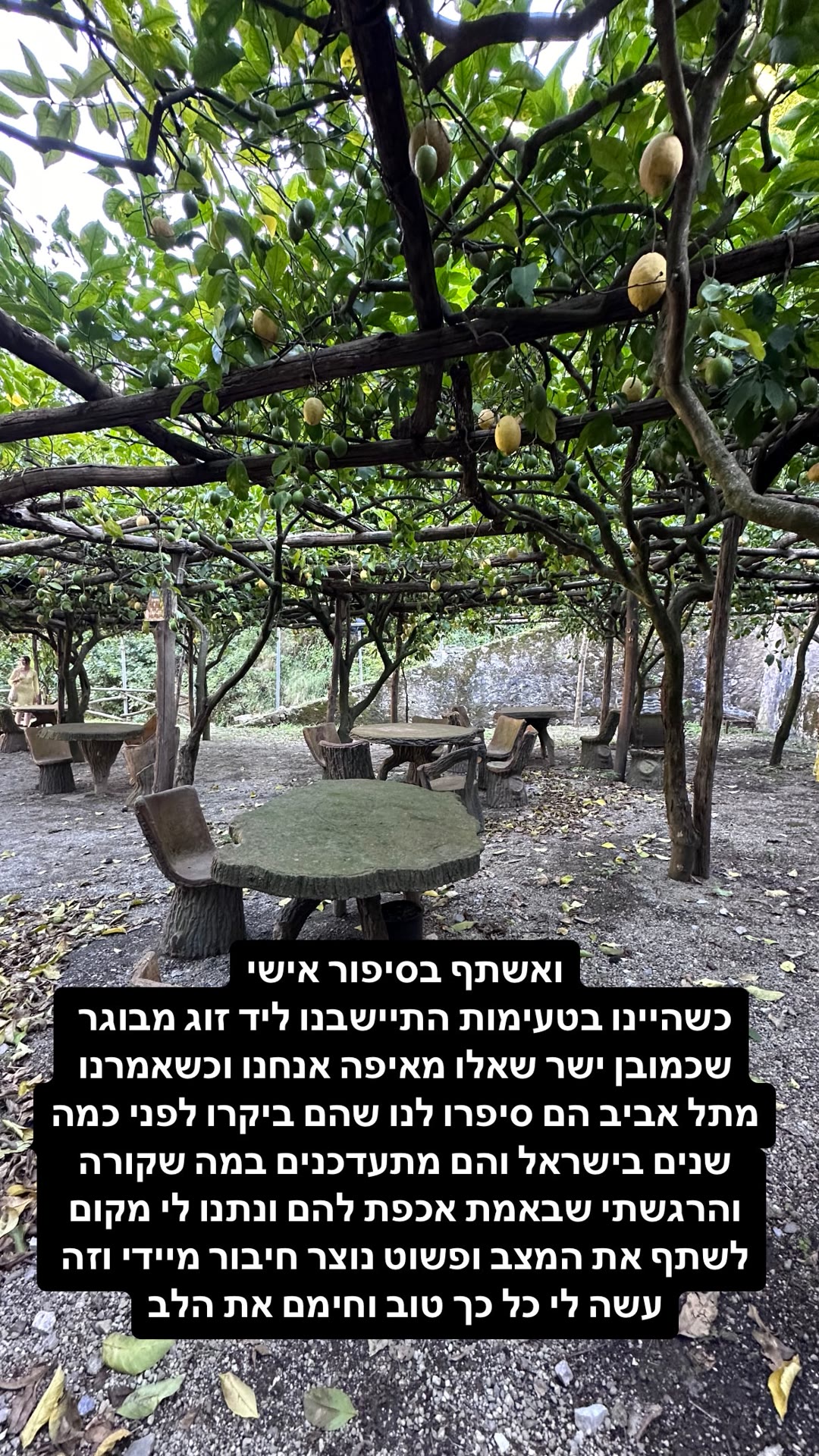 סיפור מטעימות בפרדס לימונים בדרום איטליה