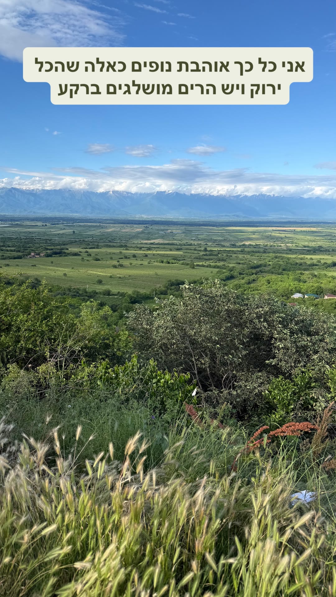 Green Kakheti valley with snowy Caucasus behind