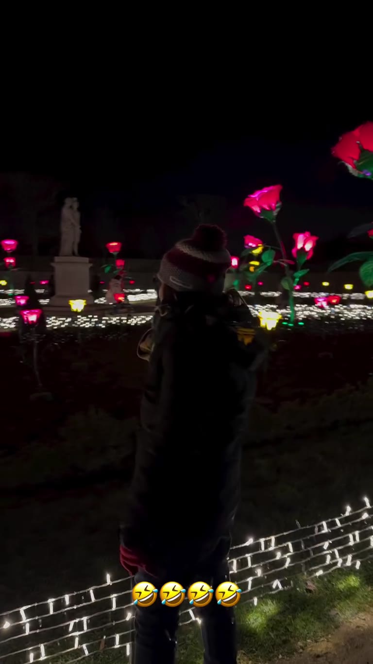 Christmas Garden light show in Vienna