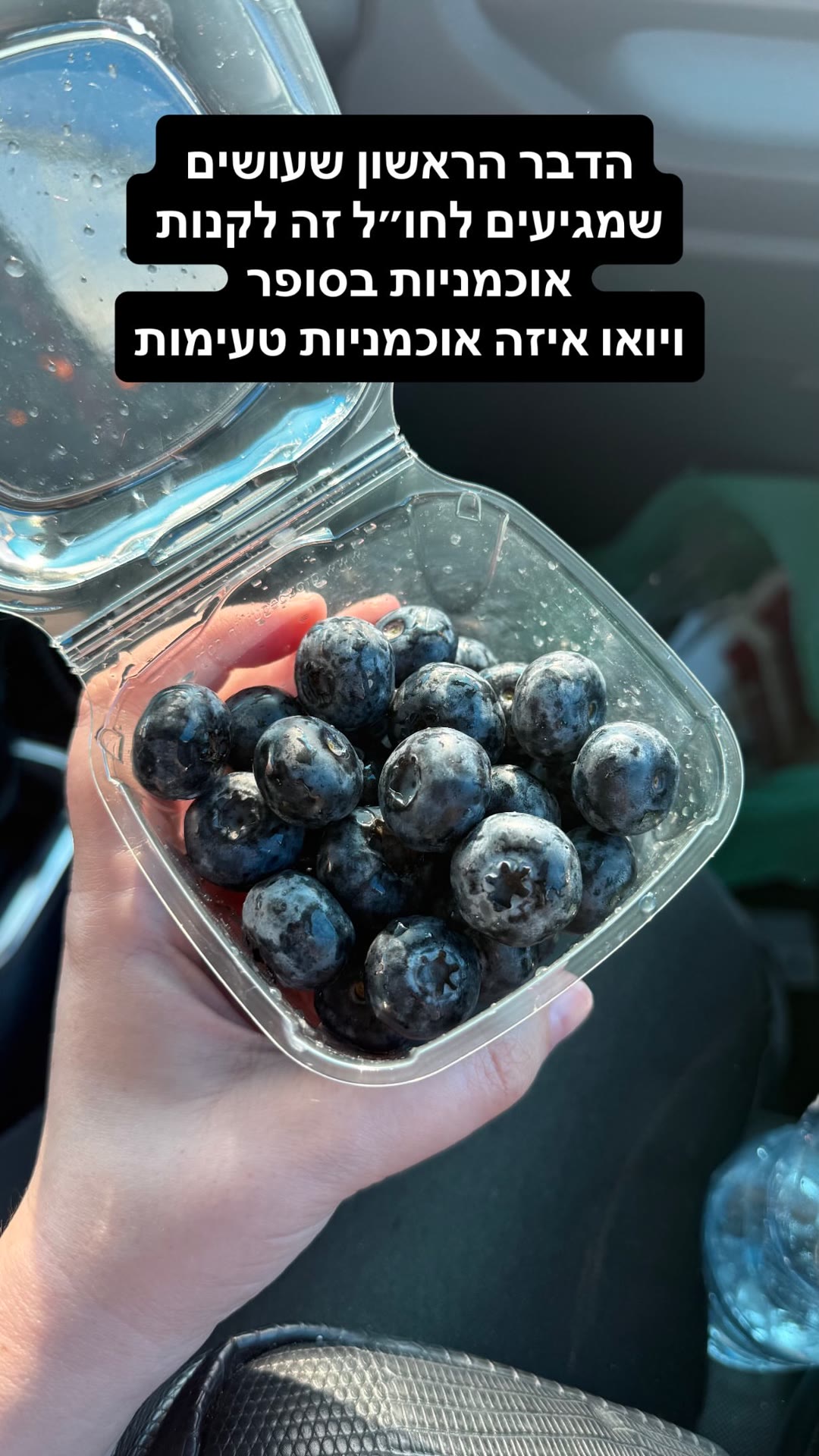 אוכמניות מהסופר בפוליה