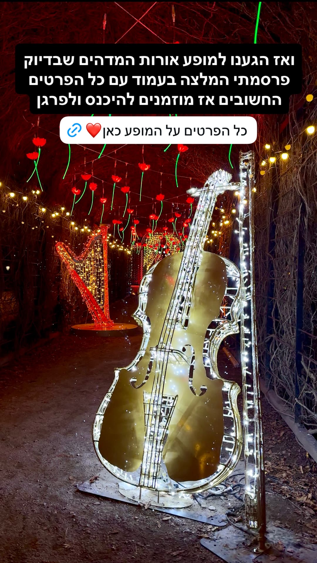 מופע אורות מדהים בווינה