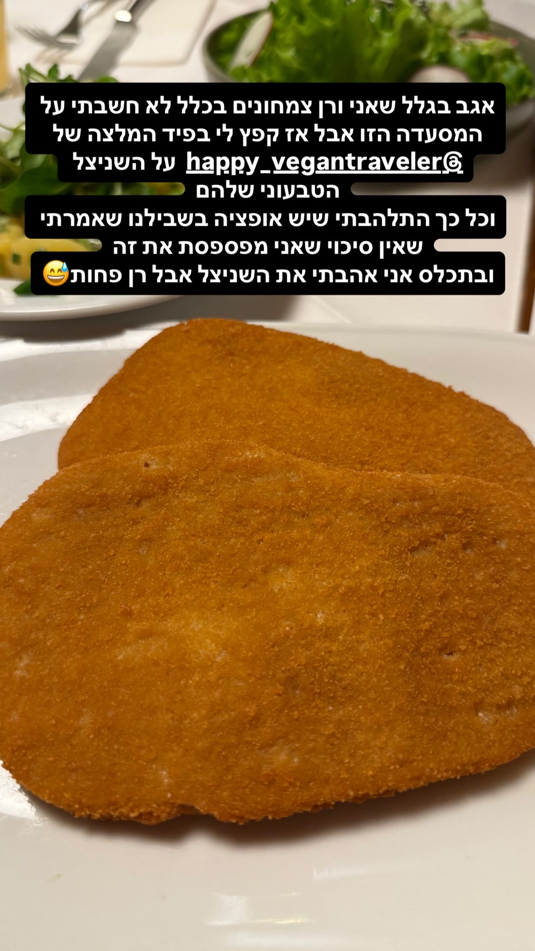 שניצל טבעוני במסעדה בווינה