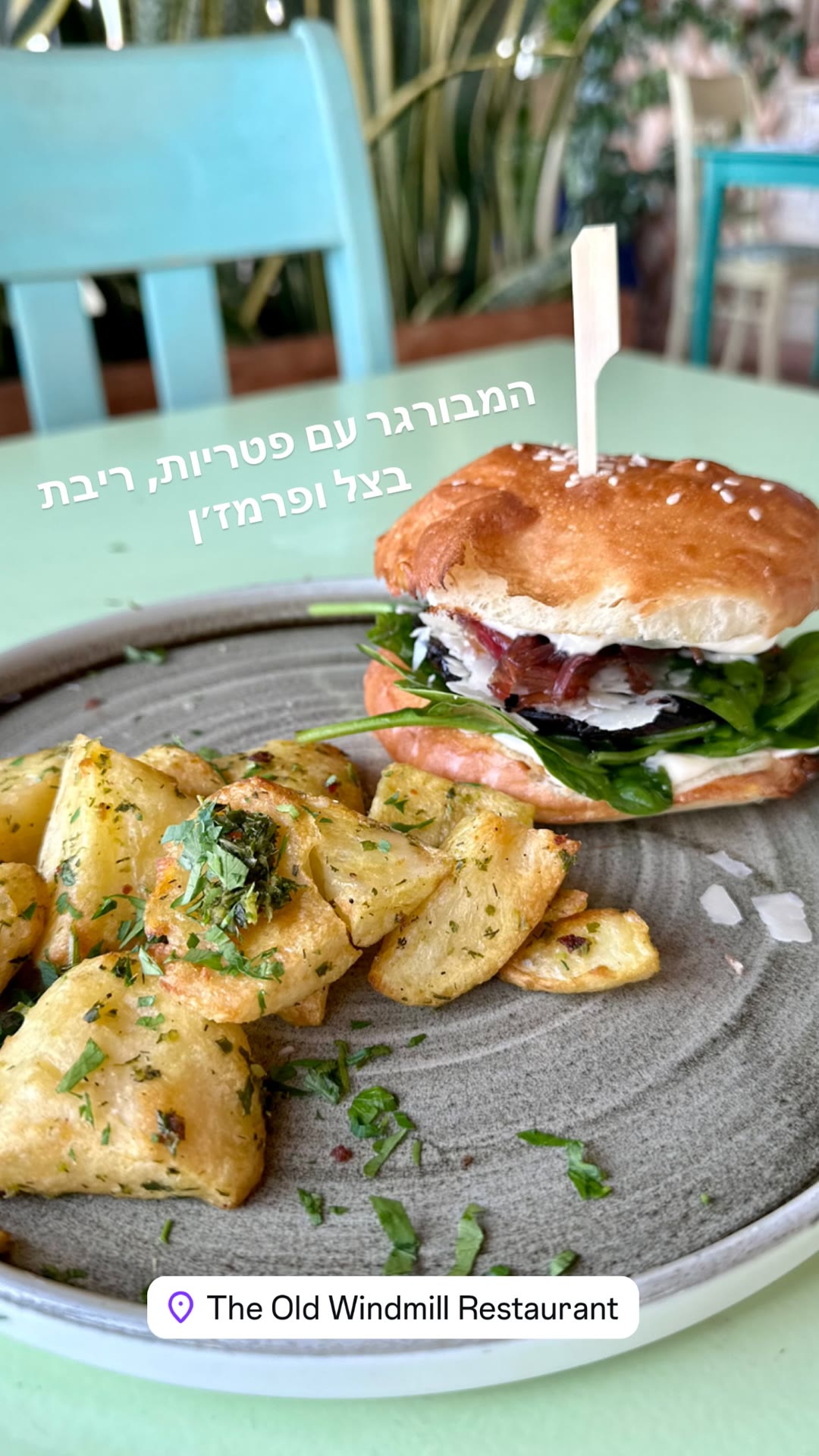 Mushroom burger at The Old Windmill, Zakynthos