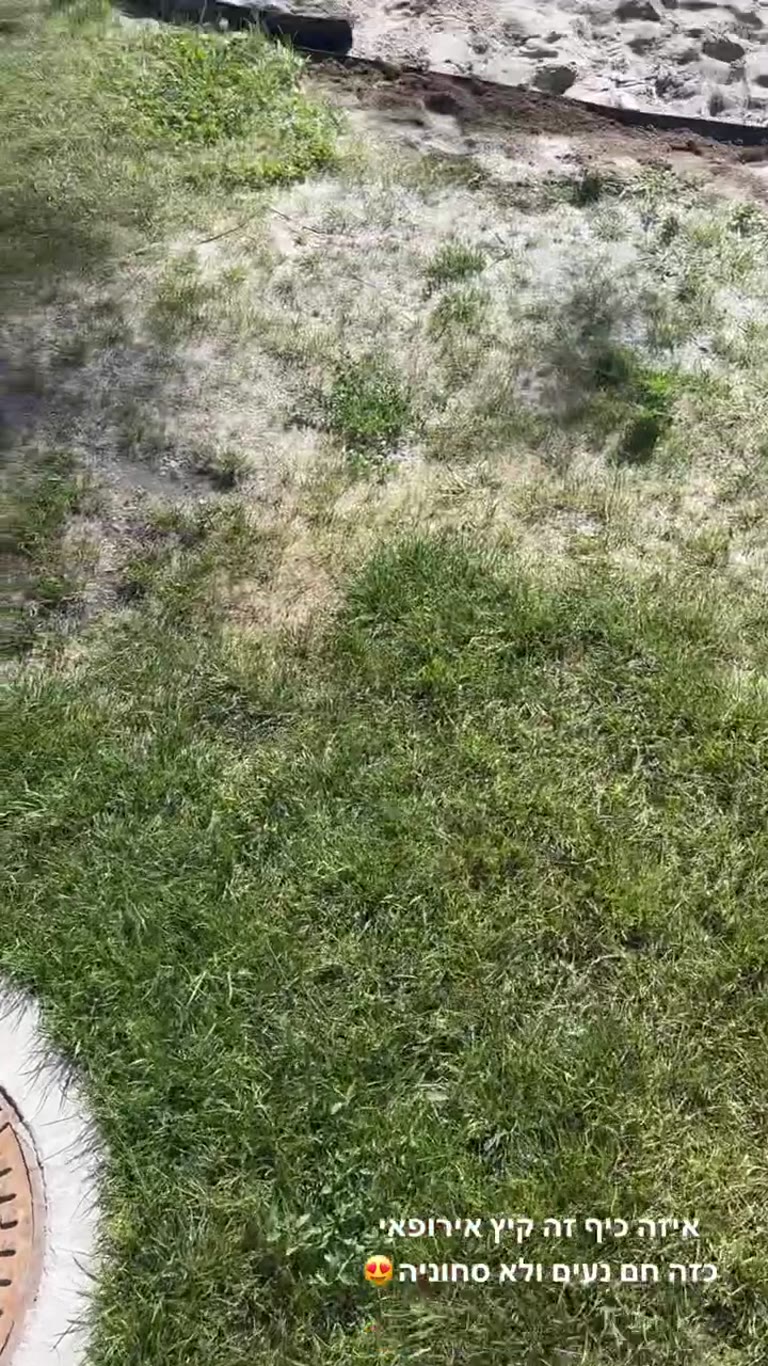 קיץ אירופאי על שפת האגם בהונגריה