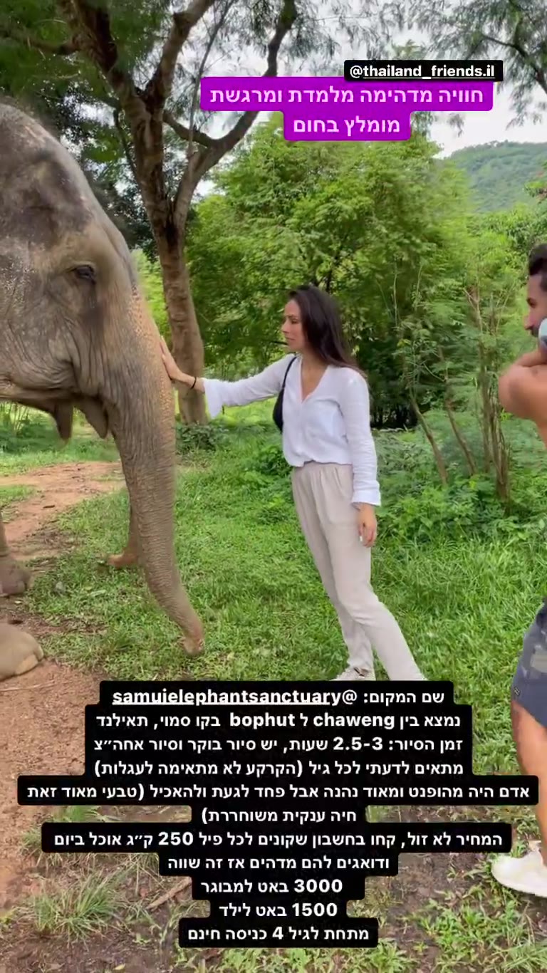 Samui Elephant Sanctuary – חוויה עם פילים בקו סמוי