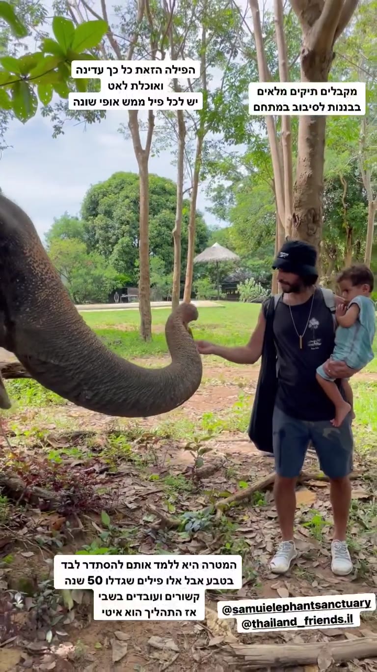 Samui Elephant Sanctuary – האכלת פילים