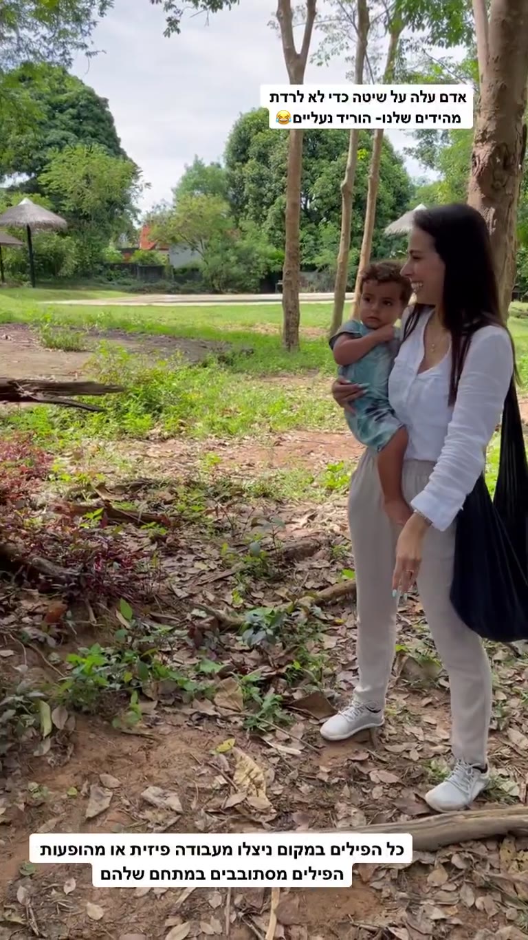 פילים מוצלים ב-Samui Elephant Sanctuary