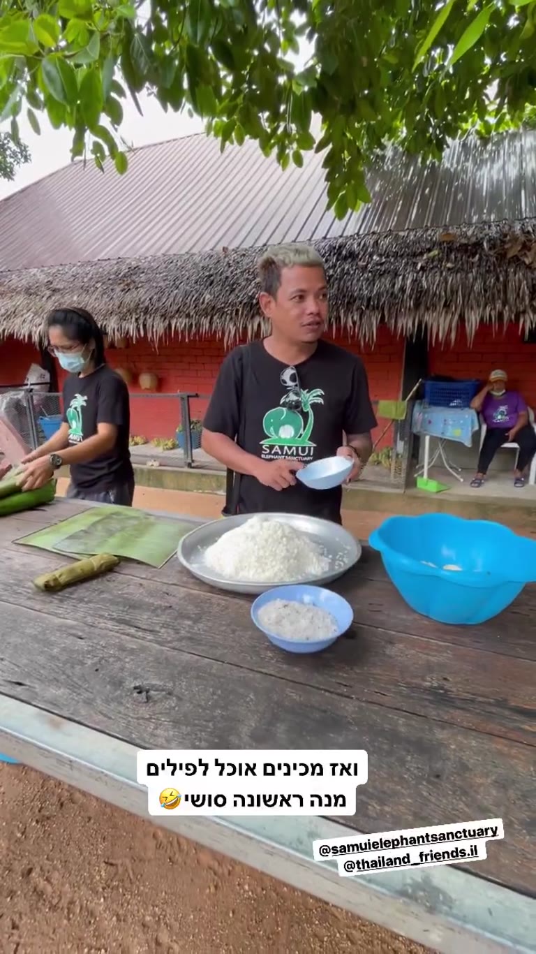 Samui Elephant Sanctuary: making elephant "sushi"