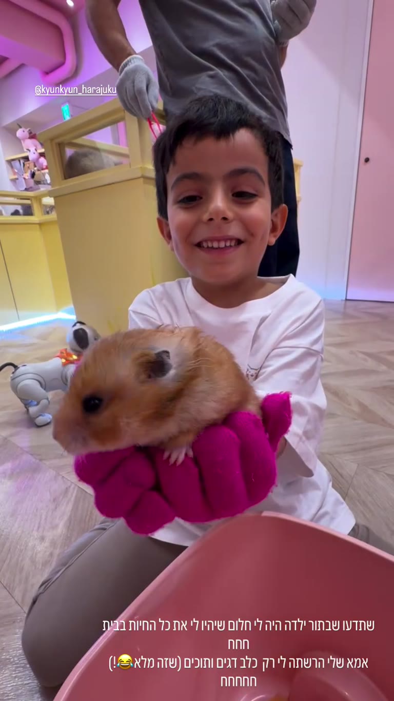 אוגרים בקיון קיון הרג'וקו בטוקיו