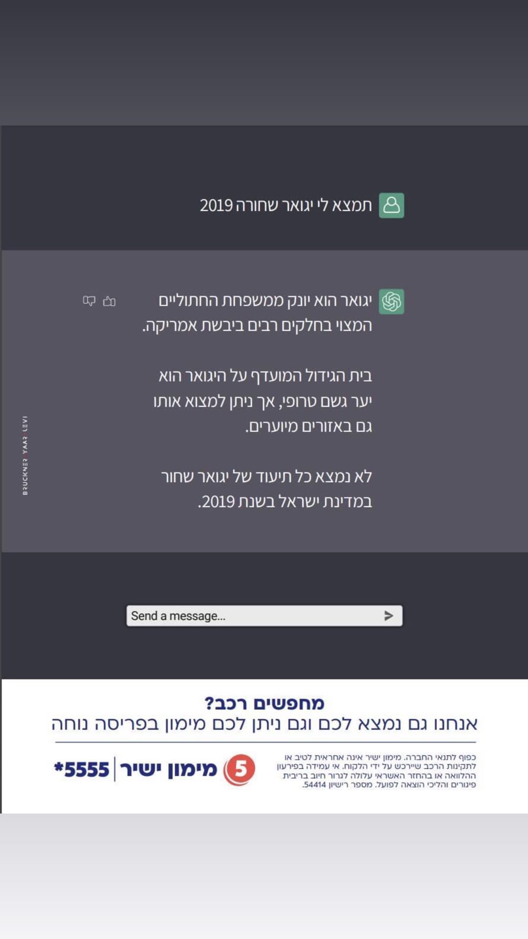 קמפיין מימון ישיר בסגנון ChatGPT – "יגואר שחורה 2019"