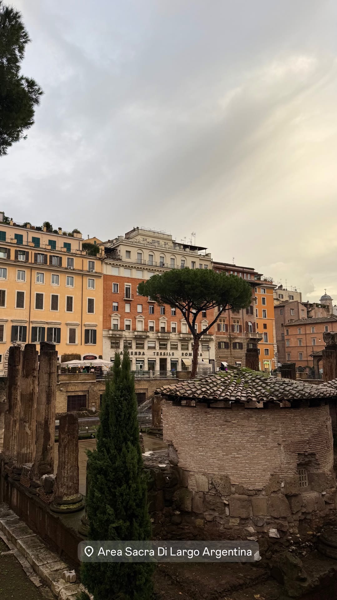 Area Sacra di Largo Argentina ברומא