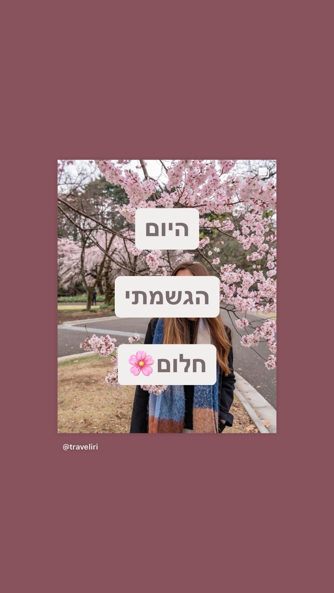 היום הגשמתי חלום - פריחת הדובדבן בטוקיו