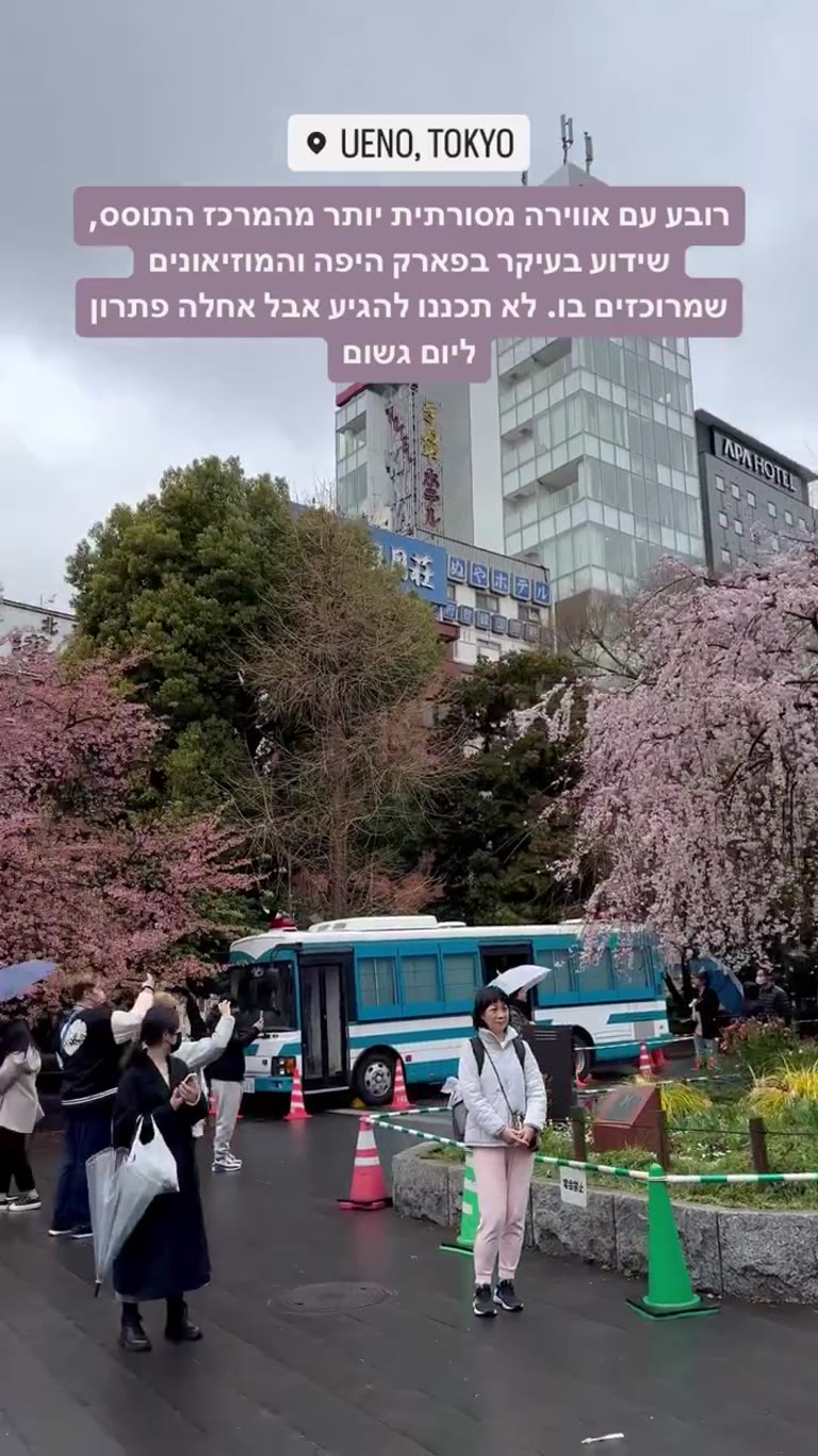 אואנו (Ueno), טוקיו – פתרון ליום גשום