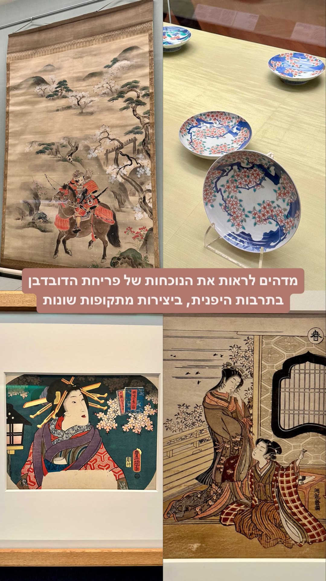 פריחת הדובדבן באמנות היפנית - מוזיאון בטוקיו