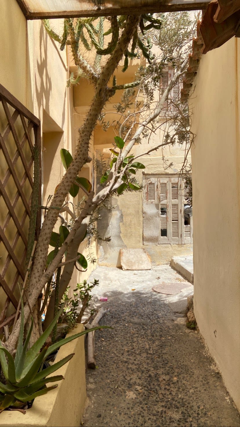 Sunlit alley on Crete