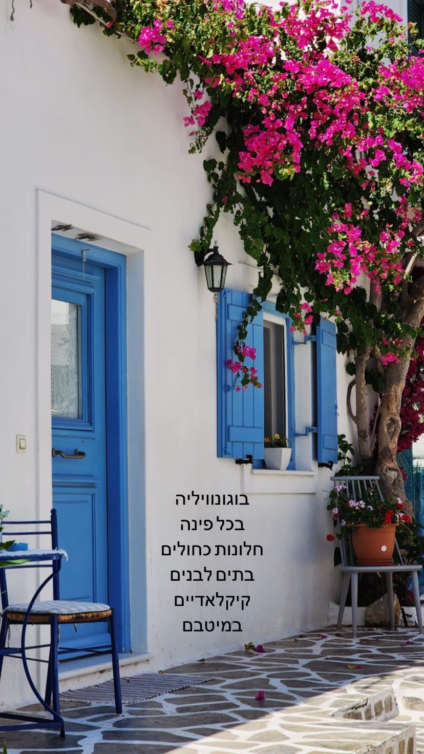סמטאות אנטיפארוס: בוגנוויליה וחלונות כחולים