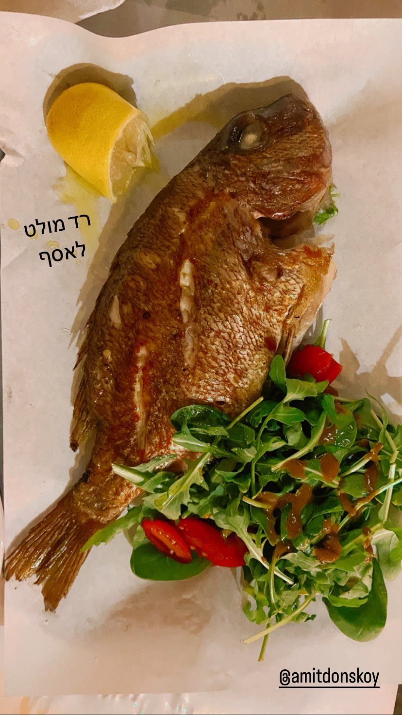 דג רד מולט באתונה