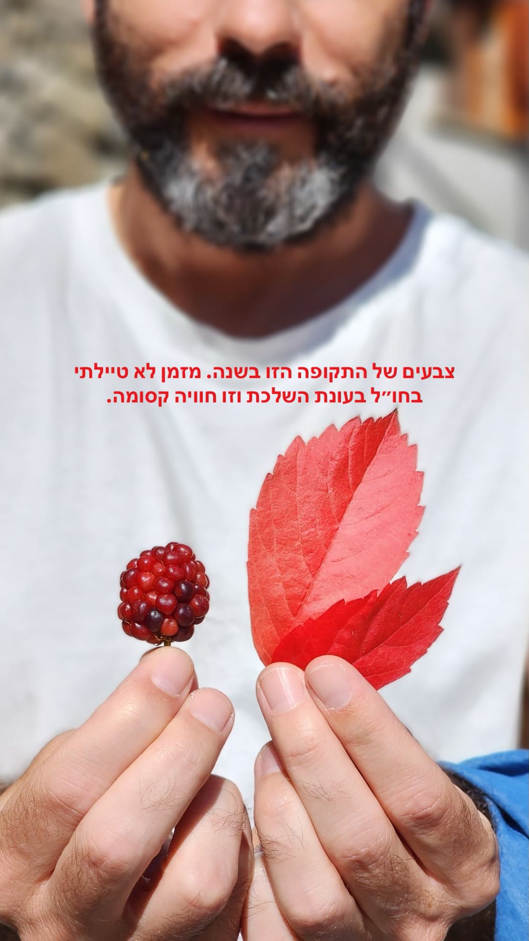 צבעי השלכת בחבל מקדוניה