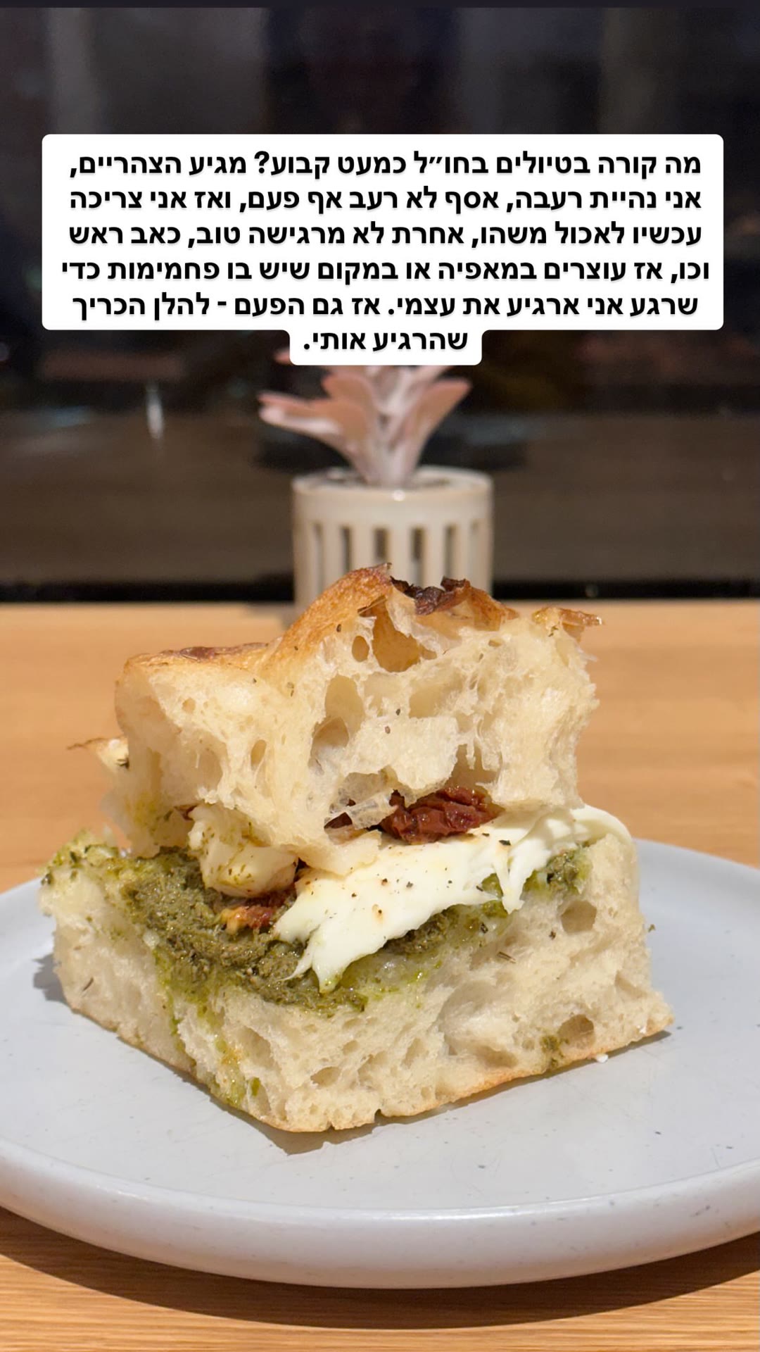 כרייך פוקצ'ה מרגיע בקפה בבודפשט