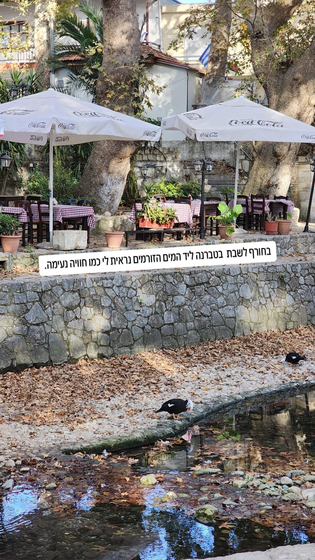 טברנה ליד מים זורמים בכרתים