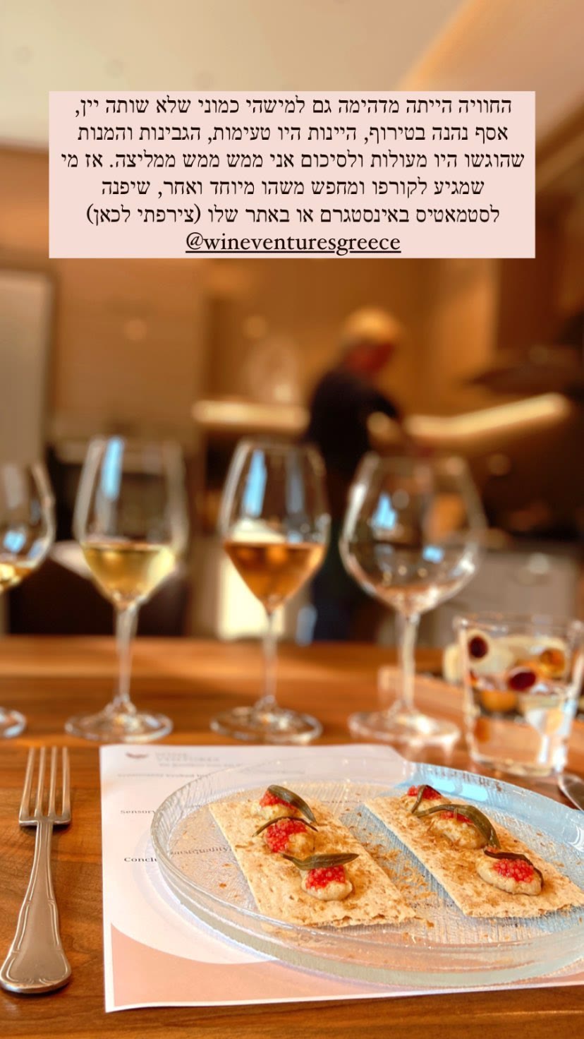 Wine Ventures wine tasting in Corfu