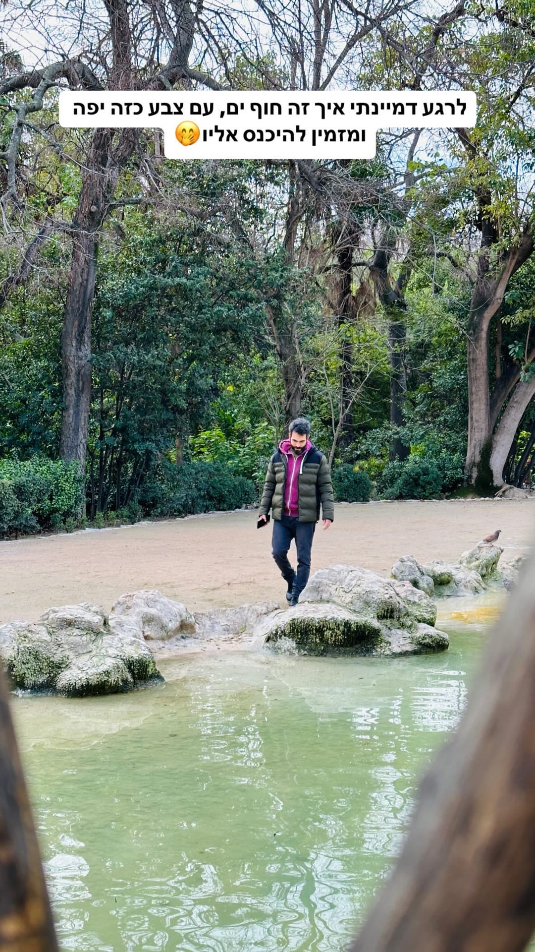 Green pond in an Athens park