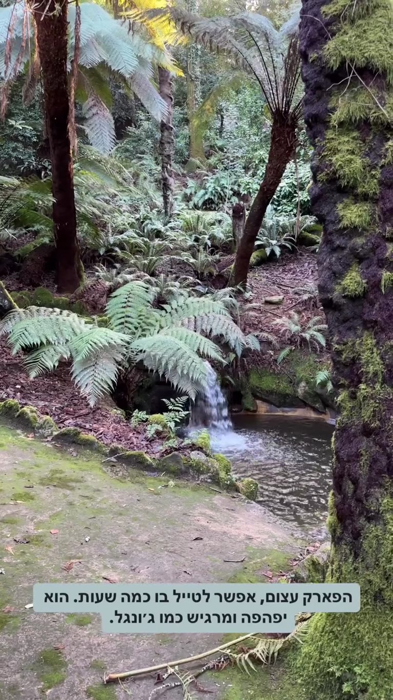 Jungle-like park near Lisbon