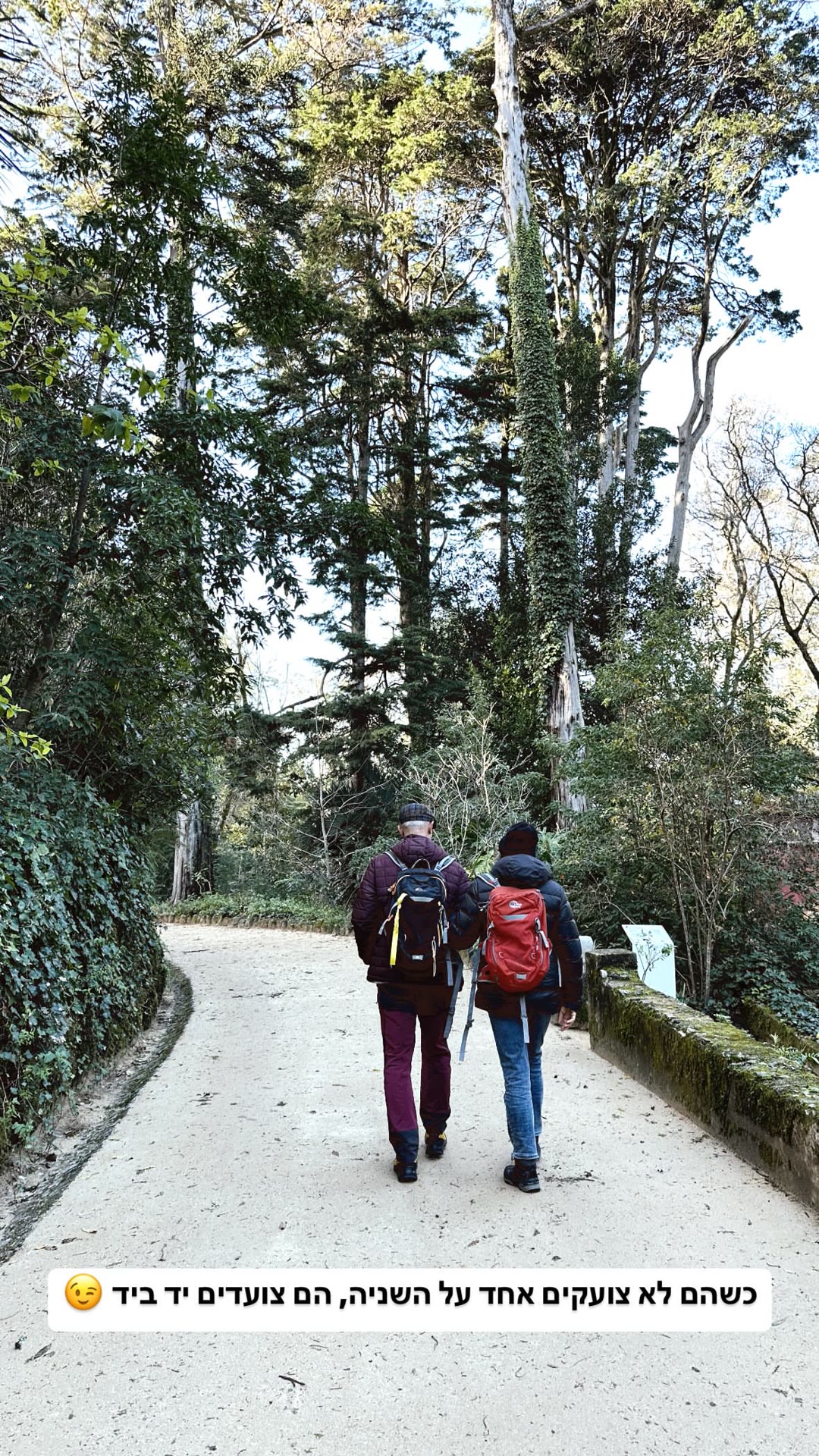Forest walk near Lisbon