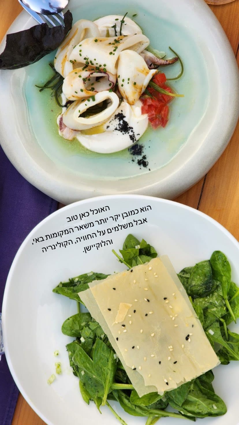 Amente Restaurant, Lefkada — calamari & salad