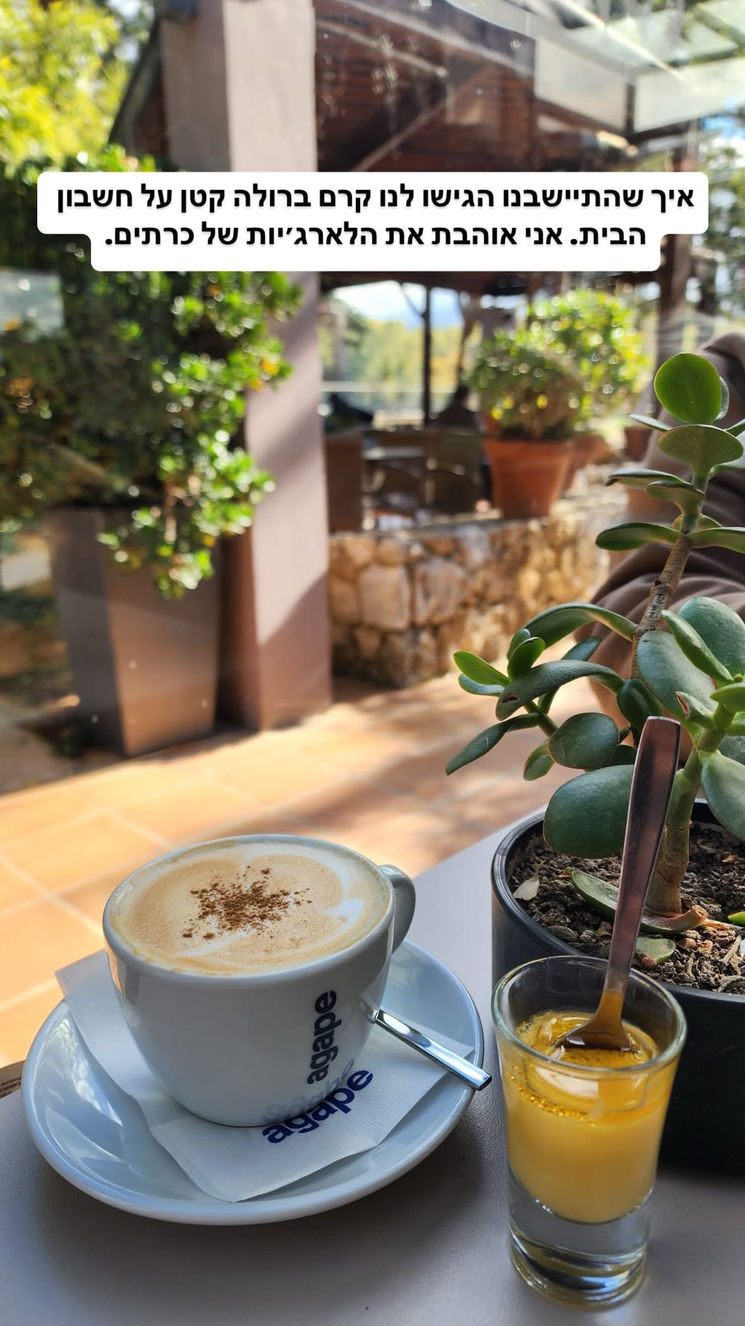 Enasma Bistrot, Chania – free crème brûlée