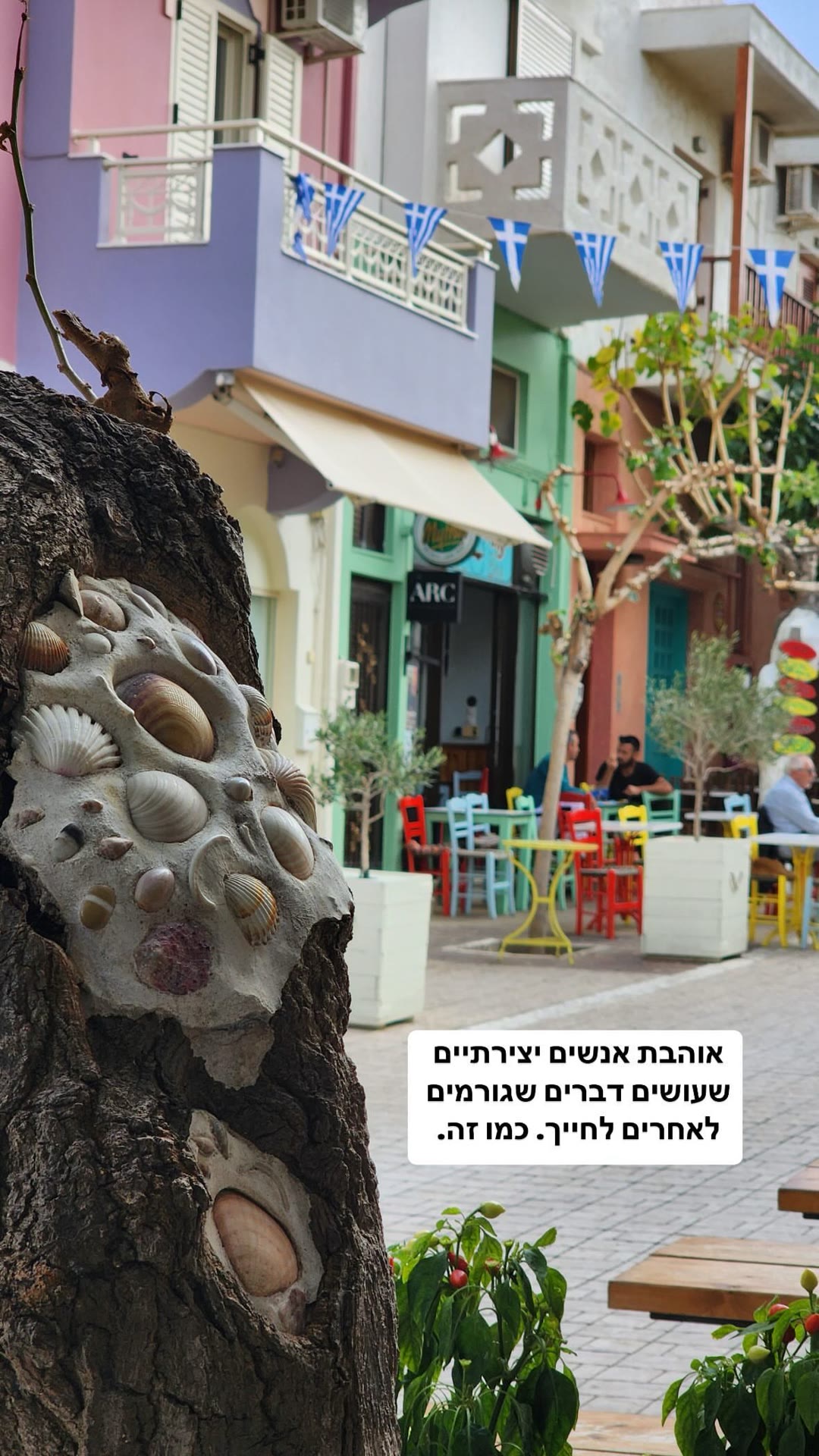 רחוב צבעוני בחאניה עם עץ מעוטר בצדפות