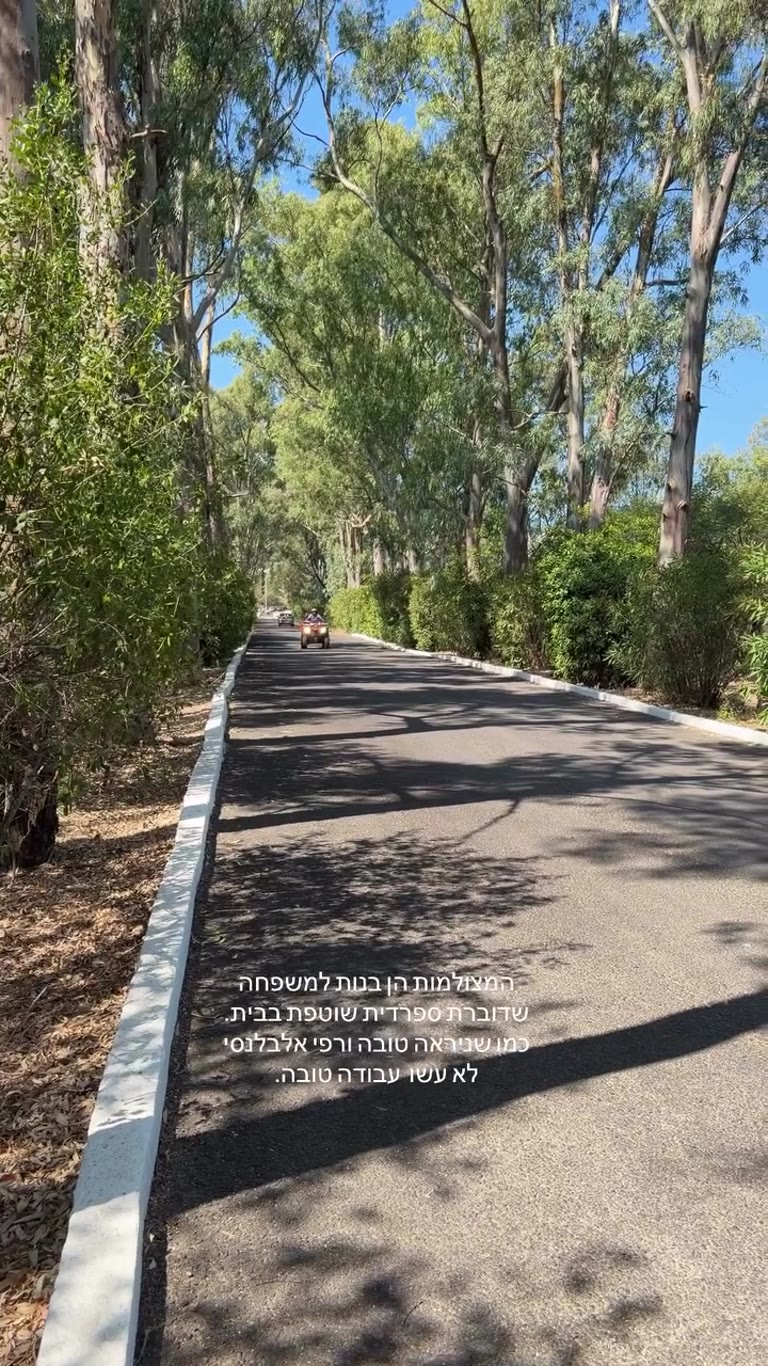 Quad biking on a eucalyptus road (Corfu highlight)