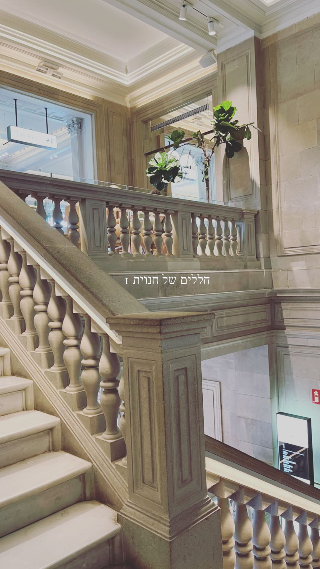 חנות בבניין היסטורי בברצלונה