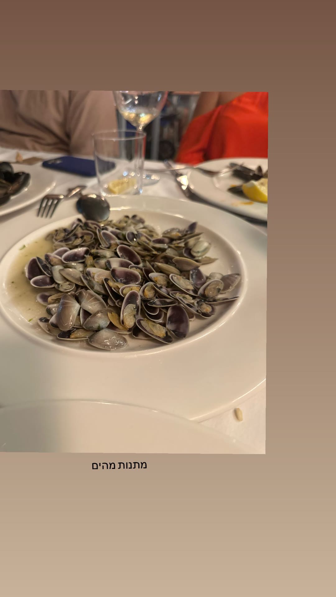 Plate of clams in Spain