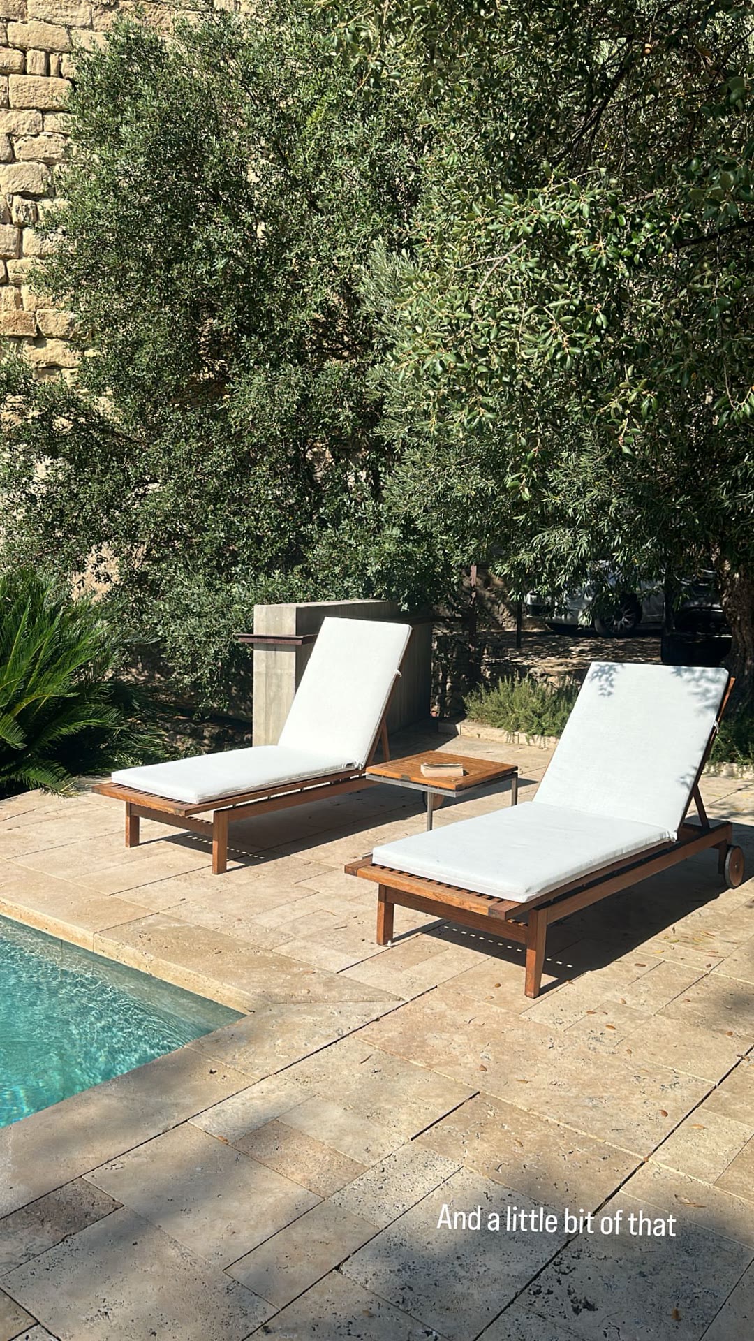 Poolside loungers under an olive tree in Spain